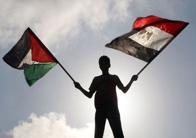 علما مصر وفلسطين